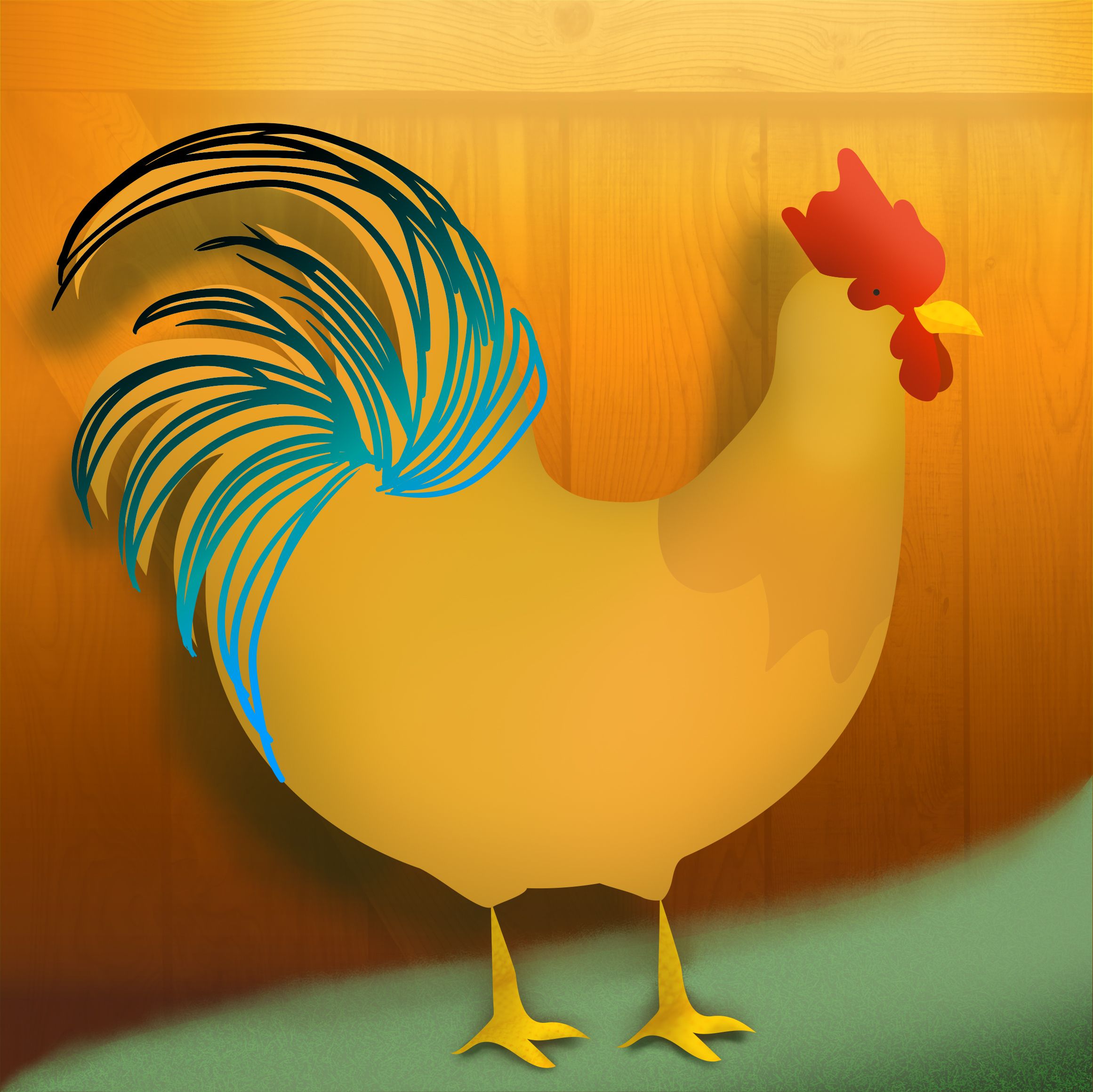 Rooster